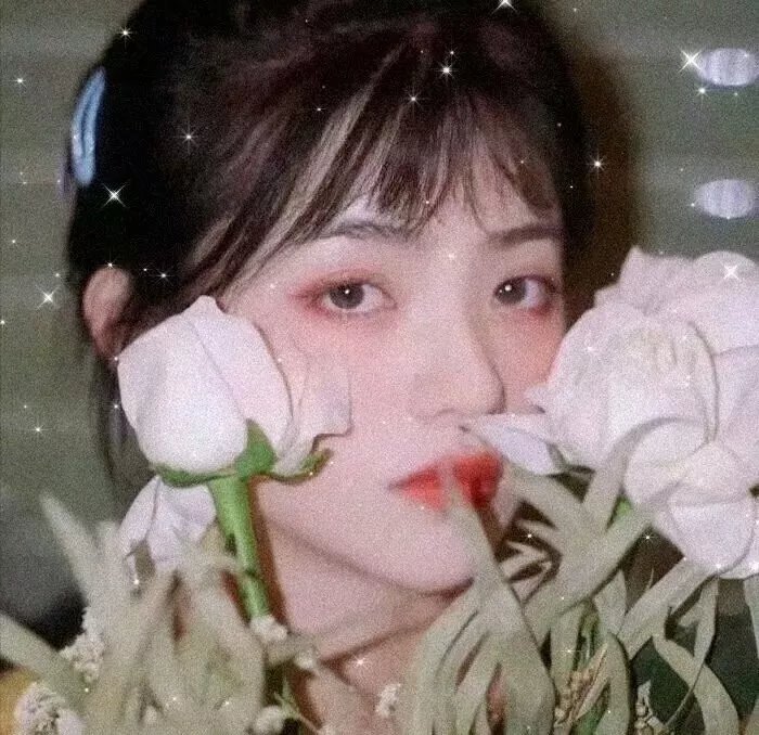 消失的罪证