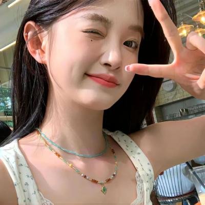 假元首秘纪